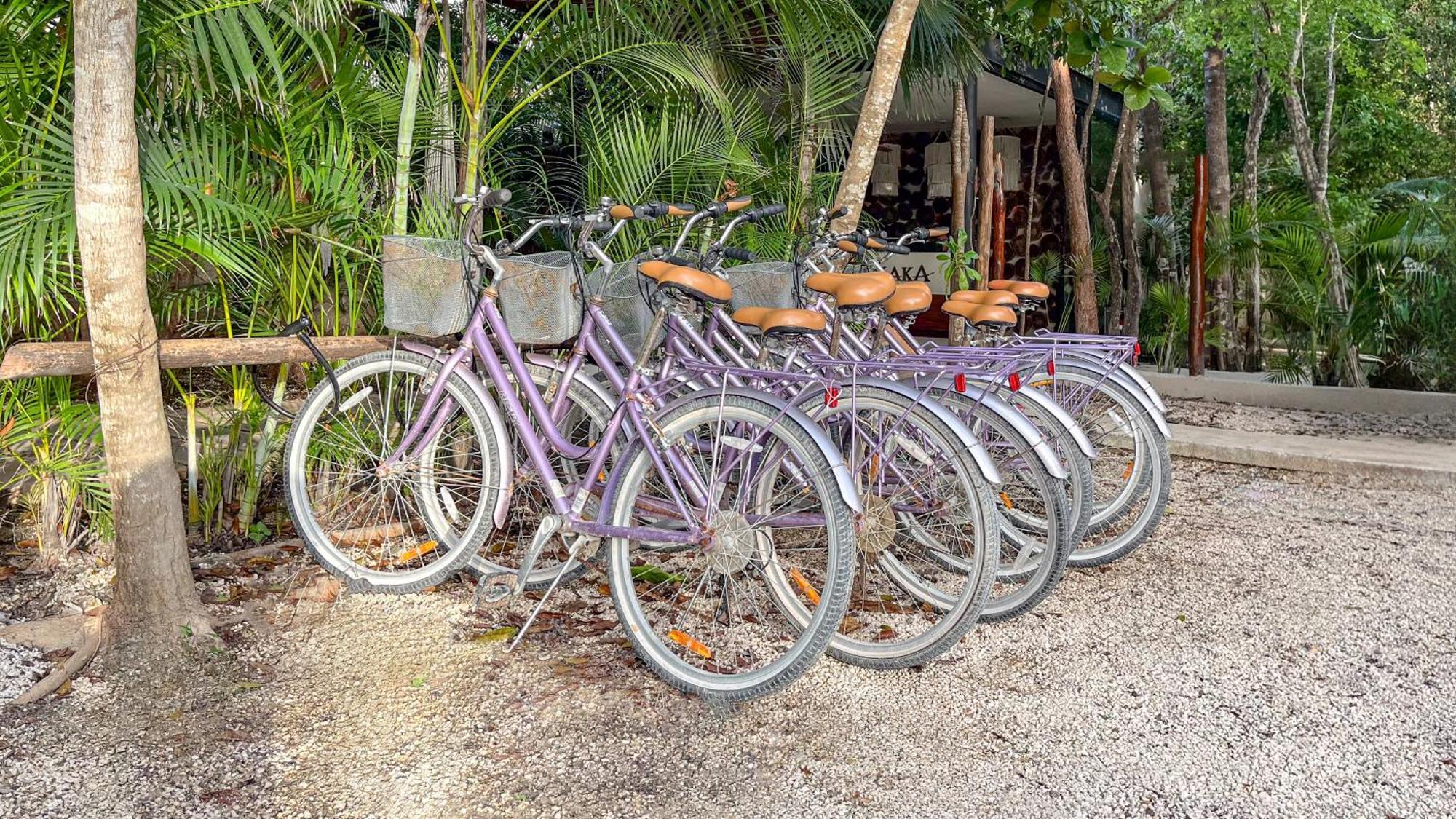 Amaka Calma Tulum Hotel Ngoại thất bức ảnh